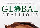 Global Stallions App Splash Screen