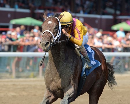 Jess's Dream wins a maiden special weight race at Saratoga Race Course in 2015