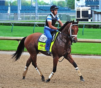 Harry's Holiday - Horse Profile - BloodHorse