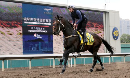 2016 rebel stakes odds 2016 rebel stakes odds