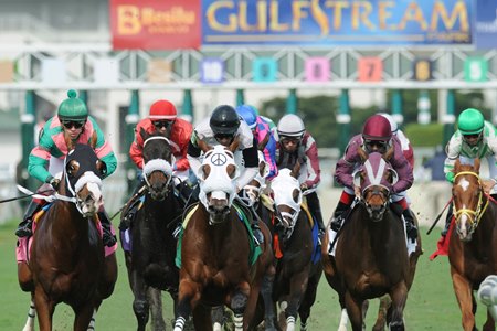 Gulfstream Park Suspends Five Trainers For Clenbuterol Bloodhorse