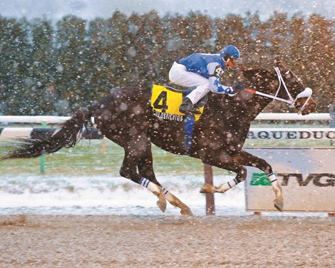 Aqueduct Announces Winter Stakes Schedule BloodHorse