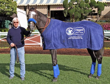 Arrogate Again Crowned Longines World's Best Racehorse - BloodHorse