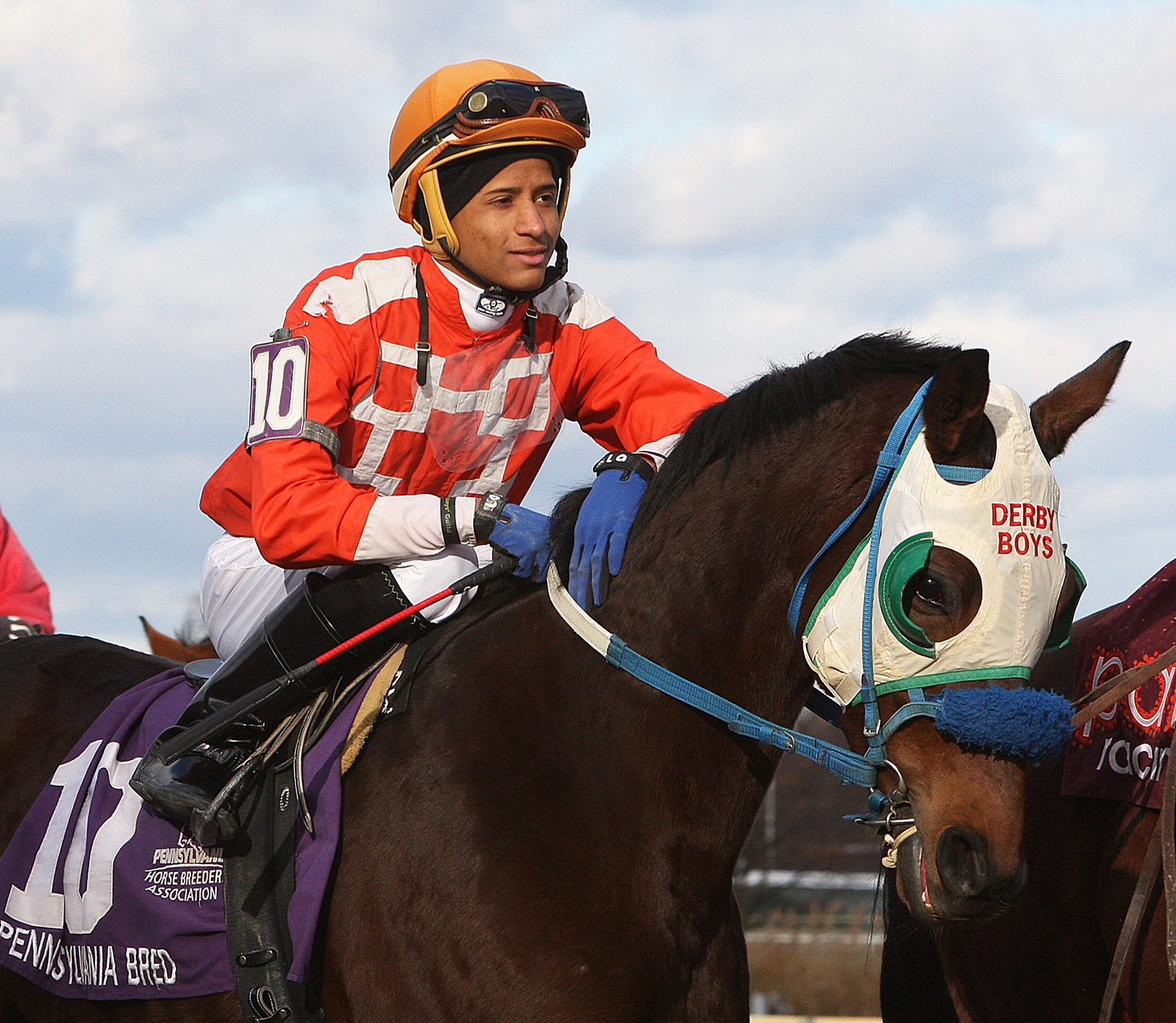Titleholder Overwhelms Field in 165th Tenno Sho | SportsLook