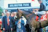 Teleprompter and jockey Tony Ives after winning the Arlington Million (Miracle Million) with Lord Derby and trainer Bill Watts at Arlington Park. 