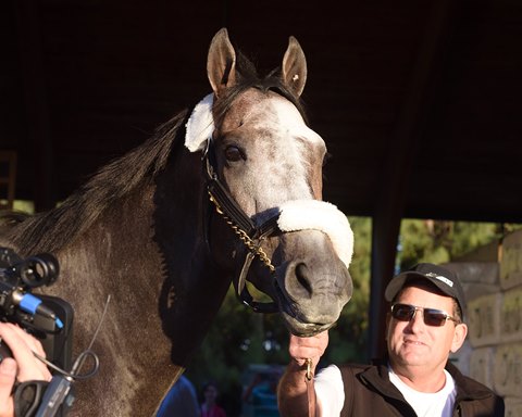 Post position favors Arrogate over California Chrome in Pegasus World Cup