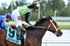 Flatlined wins the 2017 Ft. Lauderdale Stakes                            