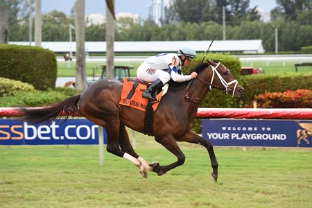 Fasig Tipton Horses Of Racing Age Sale Offers Diversity