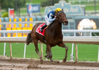 Blue Tone - Horse Profile - BloodHorse