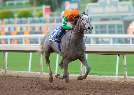 Easy Santa Ynez Victory for Unique Bella - BloodHorse