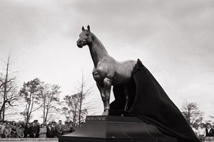 Today, Man o' War greets 100s of thousands of visitors to the Kentucky Horse Park.