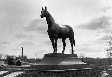 Man o’ War: A Photographic Tribute - Slideshow - BloodHorse