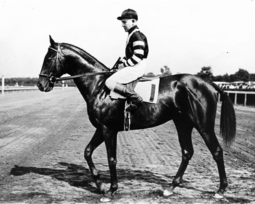 War Admiral - Horse Profile - BloodHorse