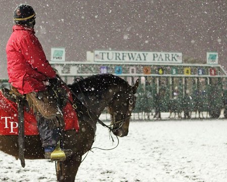 Winter racing at Turfway Park