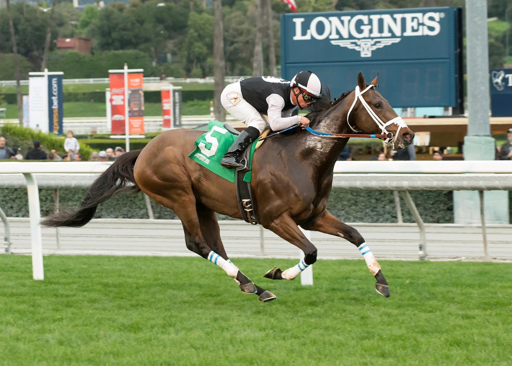 Conquest Farenheit Horse Profile BloodHorse