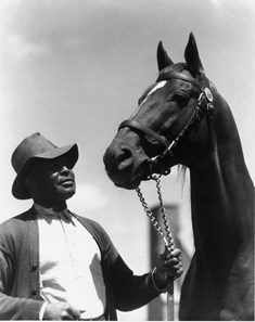 Man o’ War: A Photographic Tribute - Slideshow - BloodHorse