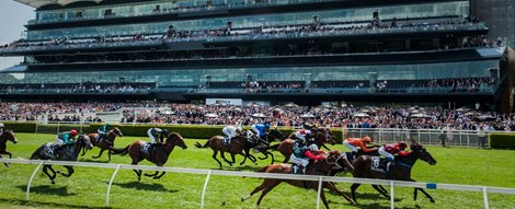 Supreme Court Halts Racing NSW Bid to Install ATC Admin