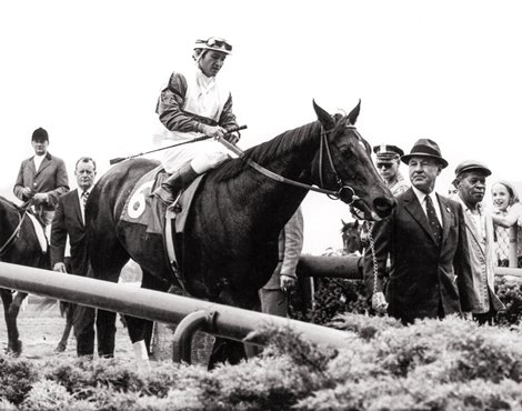 John Ruffian Ruffian: A Photographic Tribute - Slideshow - BloodHorse