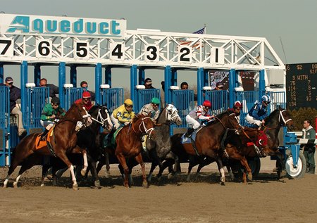 Racing at Aqueduct Racetrack 