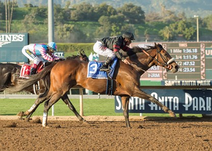 Shaman Ghost - Horse Profile - BloodHorse