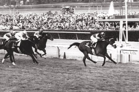John Henry wins his first Oak Tree Invitational Stakes, now named in his honor, in 1980 at Santa Anita Park