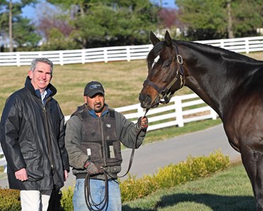 Dialed In - Horse Profile - BloodHorse