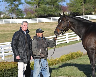 Dialed In - Horse Profile - BloodHorse