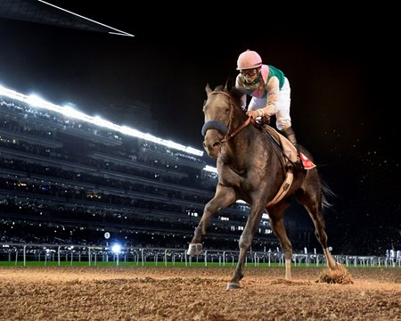 Arrogate was named the Longines World's Best Racehorse off his victory in the 2017 Dubai World Cup