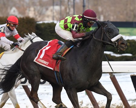 The Leon Blusiewicz-trained Spartiatis wins the 2017 Tom Fool Handicap at Aqueduct Racetrack