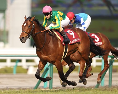 Satono Diamond wins the 2017 Hanshin Daishoten at Hanshin Racecourse