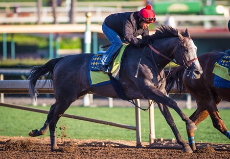 arrogate bloodhorse horse anita santa works march