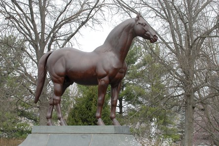 Man o' War - Horse Profile - BloodHorse