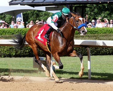Cistron - Horse Profile - BloodHorse