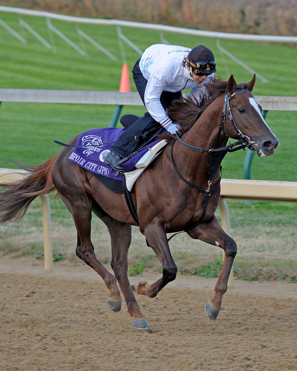 Japan - Horse Profile - BloodHorse