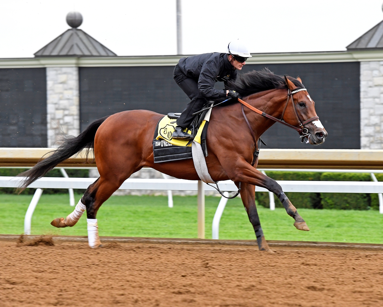 irapp horse irapp horse