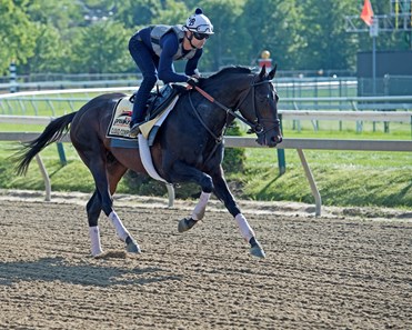 Cloud Computing
Preakness contenders at Pimlico. 
May 17, 2017 