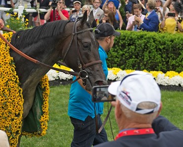 Cloud Computing wins the 2017 Preakness Stakes (G1)