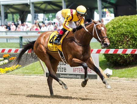 Terra Promessa, Paid Up Subscriber Face Off in Shuvee - BloodHorse