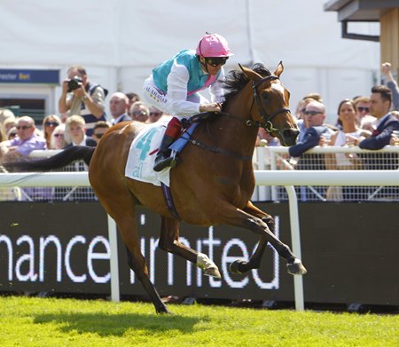 Enable First Black-Type Winner for Nathaniel - BloodHorse