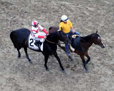 Cloud Computing with Javier Castellano in the post parade prior to winning the 142nd Running of the Preakness Stakes at Pimlico on May 20, 2017. 