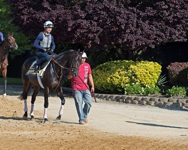 Cloud Computing
Preakness contenders at Pimlico. 
May 17, 2017 