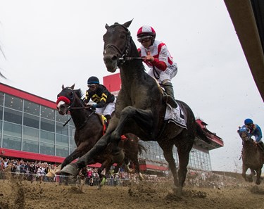 Cloud Computing with jockey Javier Castellano, heads in to the clubhouse turn on the way to the win in the 142nd running of the Preakness Stakes Saturday May 20, 2017 at Pimlico Race Course in Baltimore, MD.  Photo by Skip Dickstein