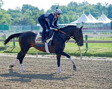 Cloud Computing
Preakness contenders at Pimlico. 
May 17, 2017 