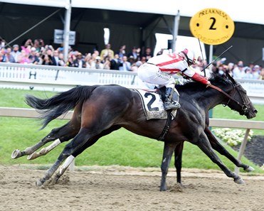 Cloud Computing wins the 2017 Preakness Stakes (G1)
