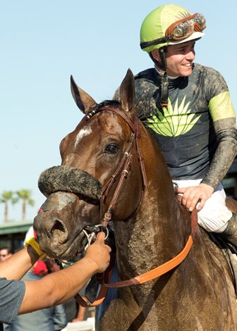 Calculator Speeds to Victory in Clockers' Corner Stakes - BloodHorse