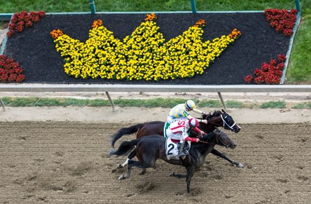 Cloud Computing and Classic Empire battling down the stretch past the crown of Black Eyed Susans, winner ultimately was Cloud Computing