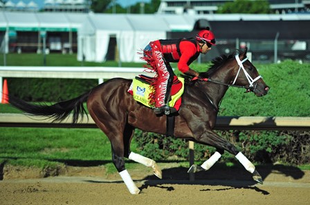 Classic Empire - Horse Profile - BloodHorse