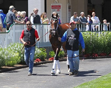 Classic Empire - Horse Profile - BloodHorse