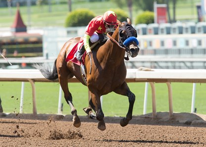 American Anthem - Horse Profile - BloodHorse