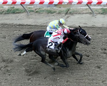 Cloud Computing (#2) with Javier Castellano win the 142nd Running of the Preakness Stakes over Classic Empire (#5) with Julien Leparoux at Pimlico on May 20, 2017